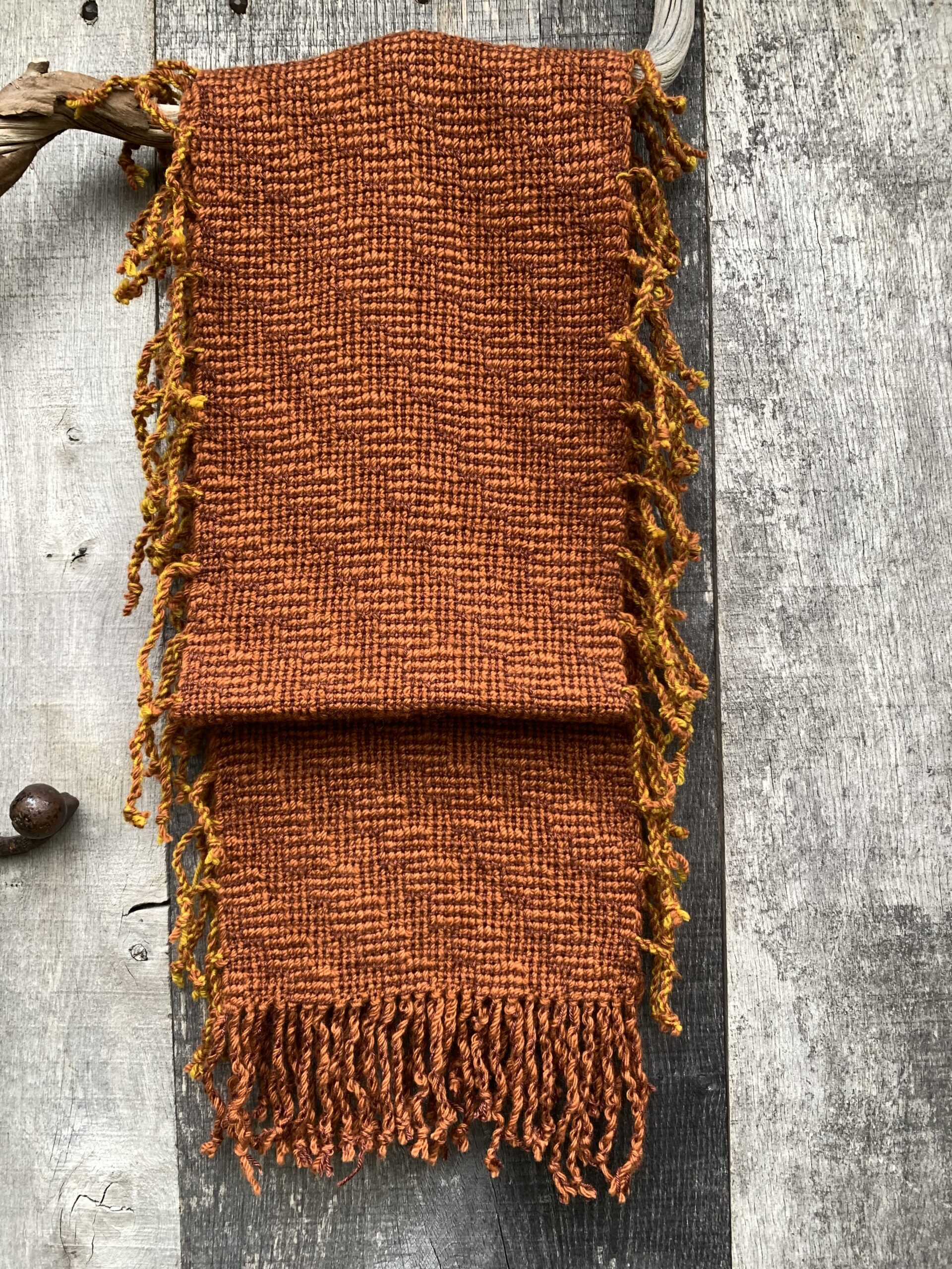 Fringed mosscar - Image 2