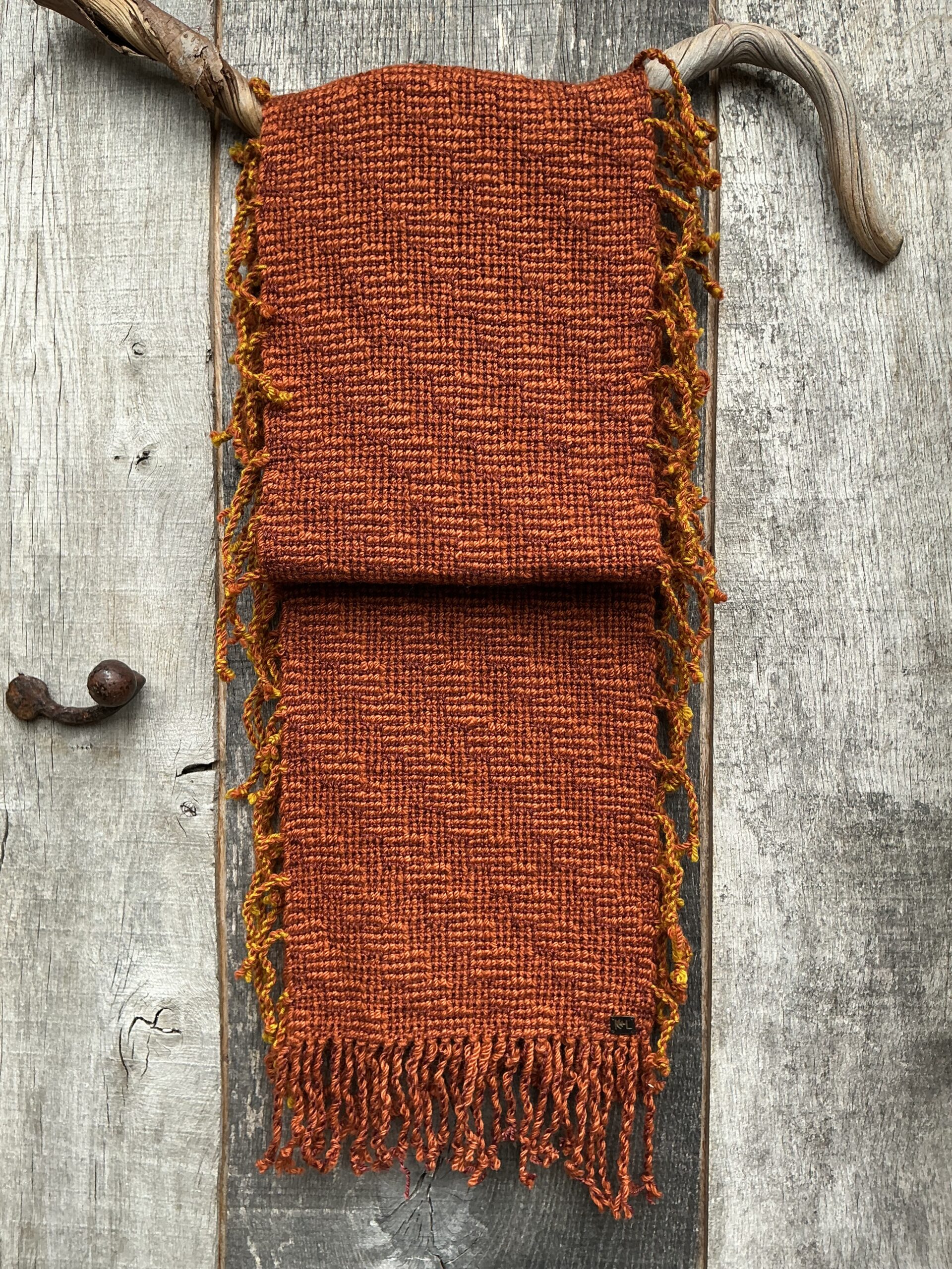 Fringed mosscar